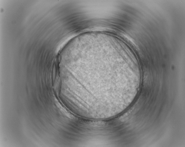 X0000088831417200707051411