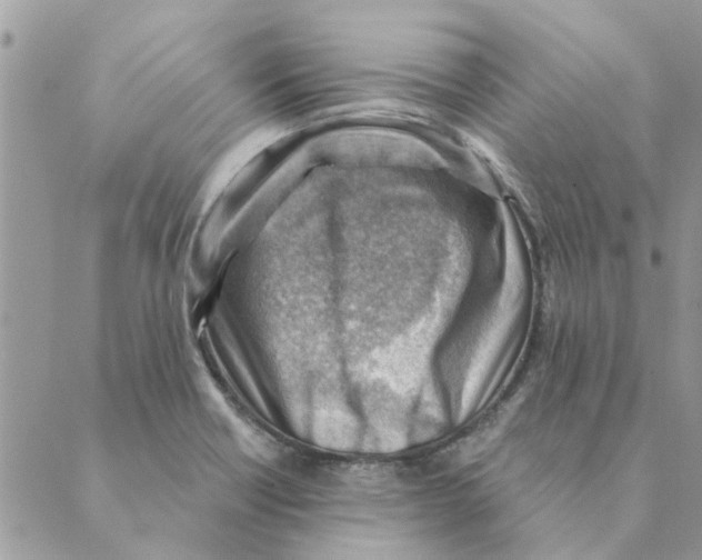 X0000088831418200707051411