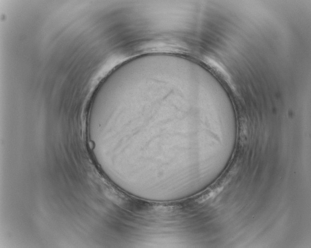 X0000088831419200707051411