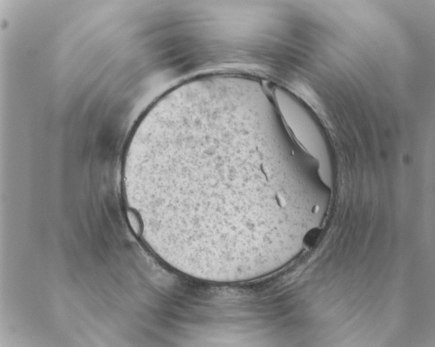 X0000088831420200707051411