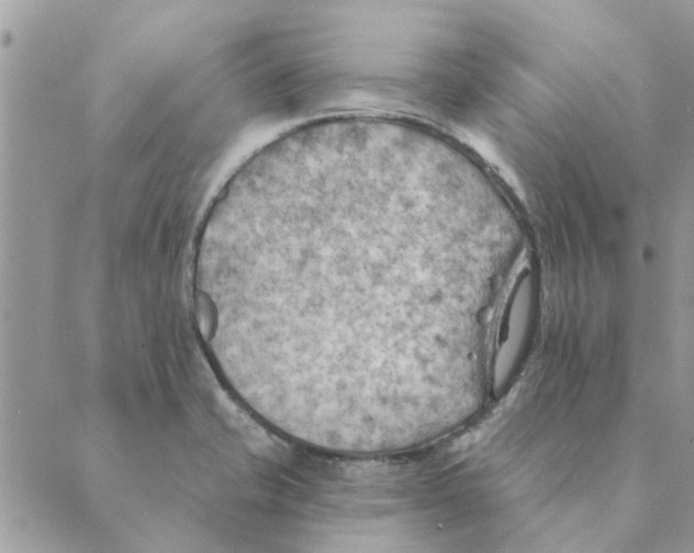 X0000088831421200707051411