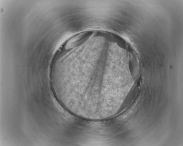 X0000088831422200707051411