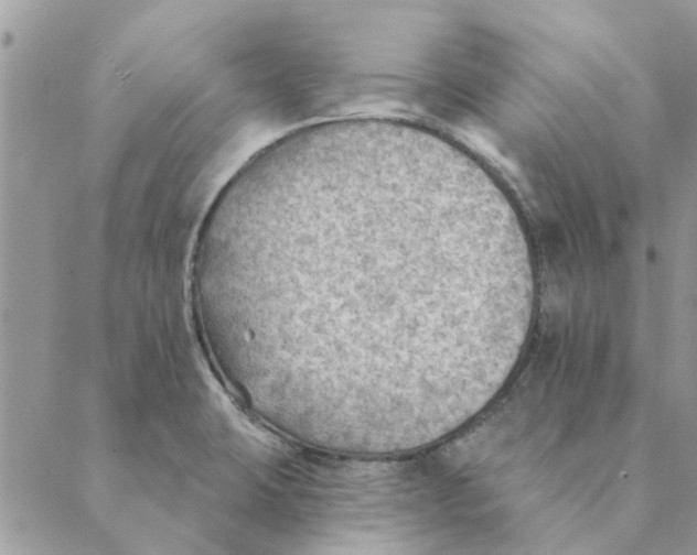 X0000088831423200707051411