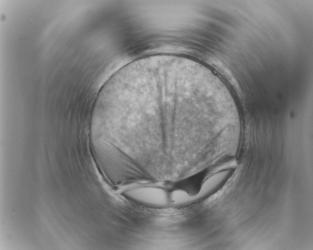 X0000088831425200707051411