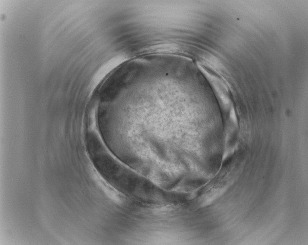 X0000088831426200707051411