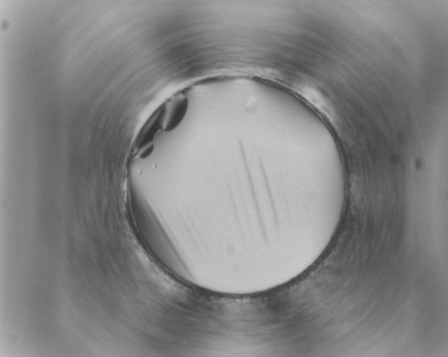 X0000088831428200707051411