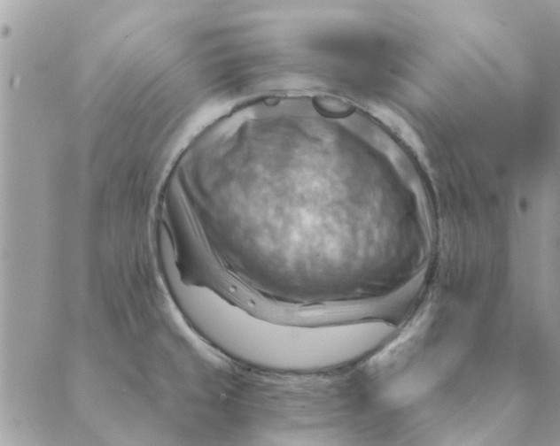 X0000088831429200707051411