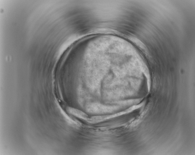 X0000088831430200707051411