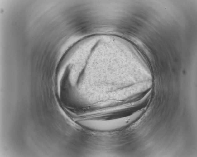 X0000088831432200707051411