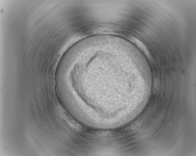 X0000088831435200707051411