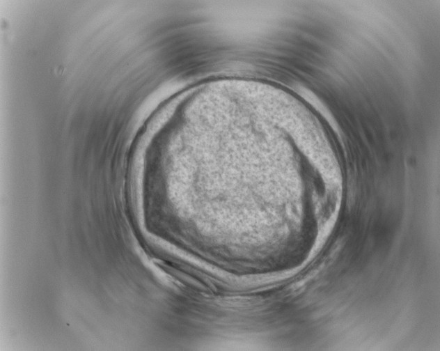 X0000088831437200707051411