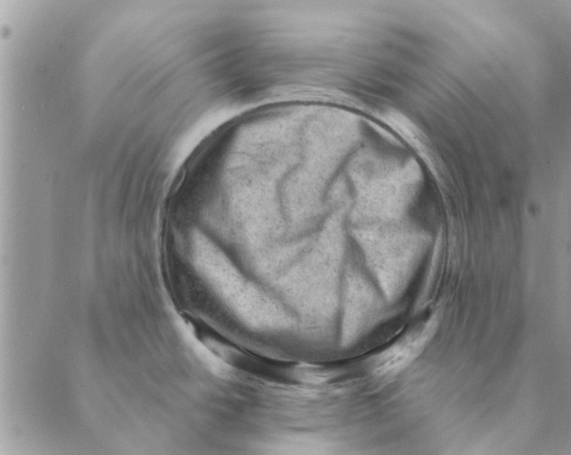 X0000088831438200707051411