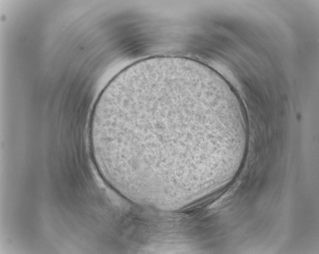 X0000088831440200707051411