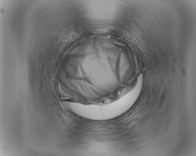 X0000088831441200707051410