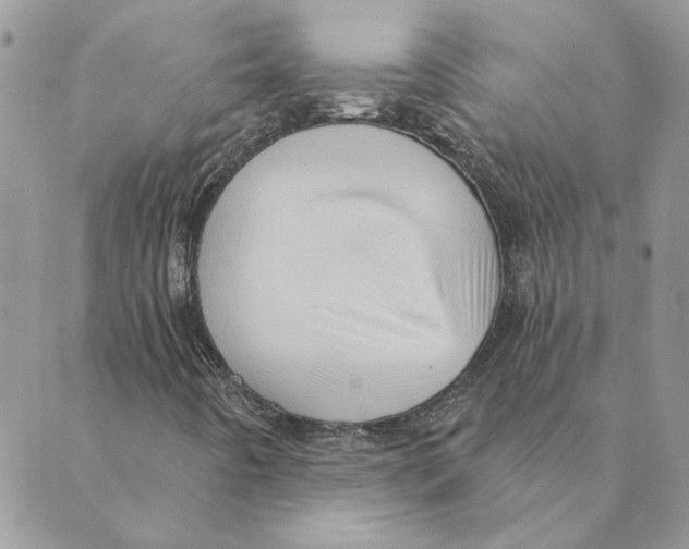 X0000088831442200707051410