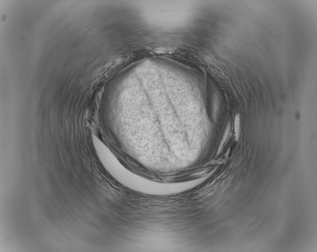 X0000088831443200707051410