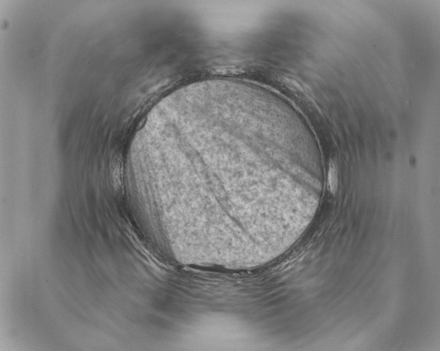 X0000088831444200707051410