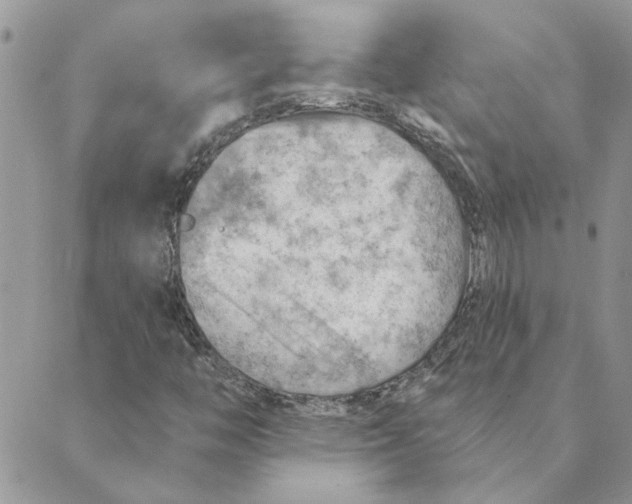 X0000088831446200707051410