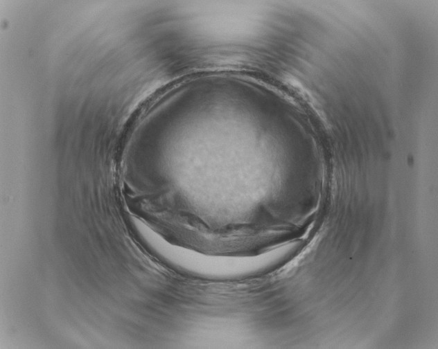 X0000088831449200707051410