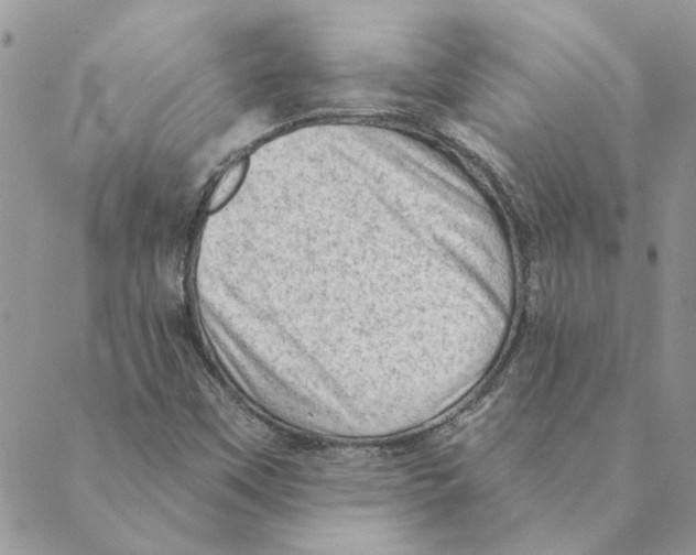 X0000088831451200707051410