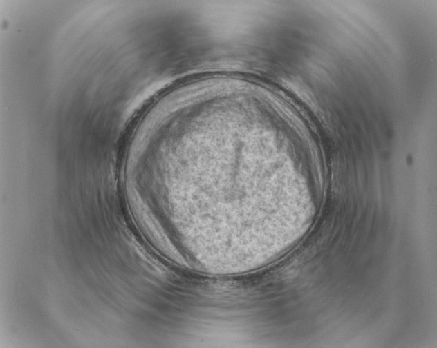 X0000088831452200707051410