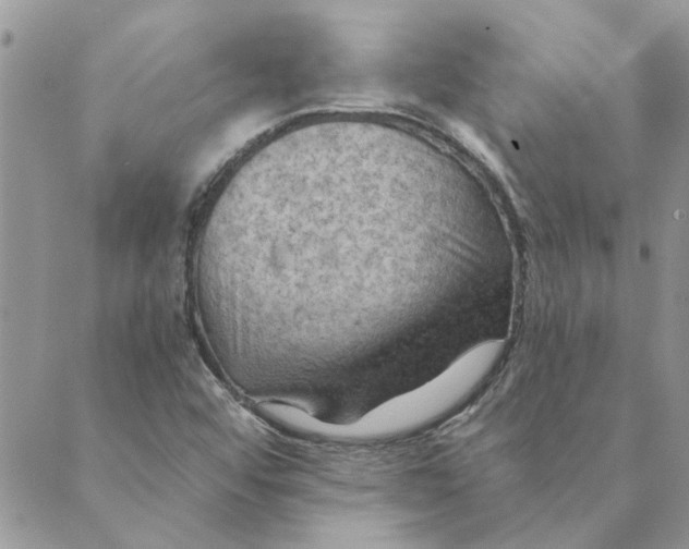 X0000088831456200707051410