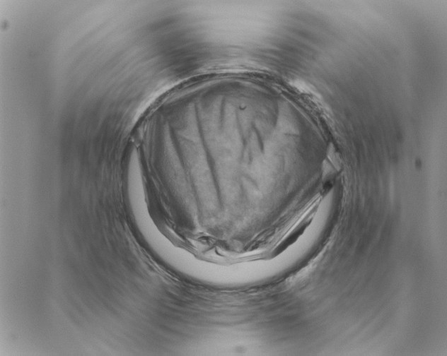 X0000088831457200707051410