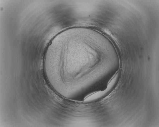 X0000088831459200707051410