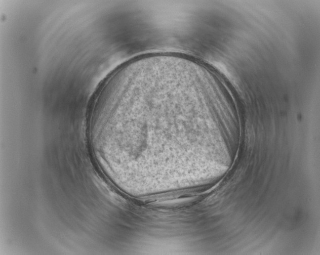 X0000088831460200707051410