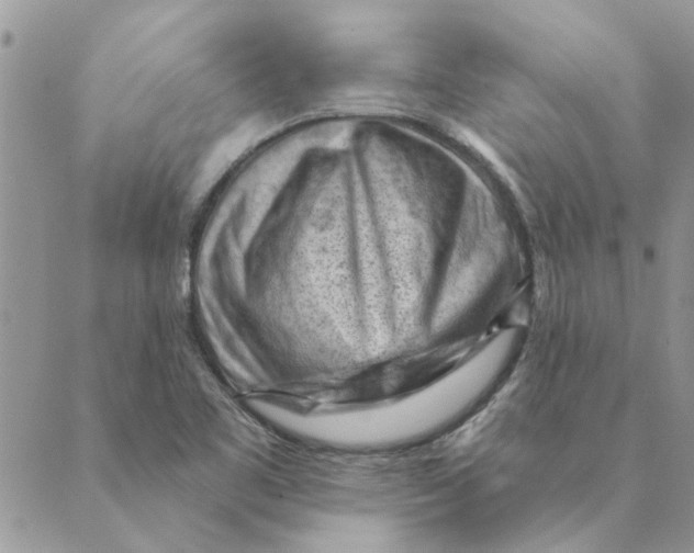 X0000088831461200707051410