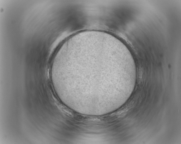 X0000088831462200707051410