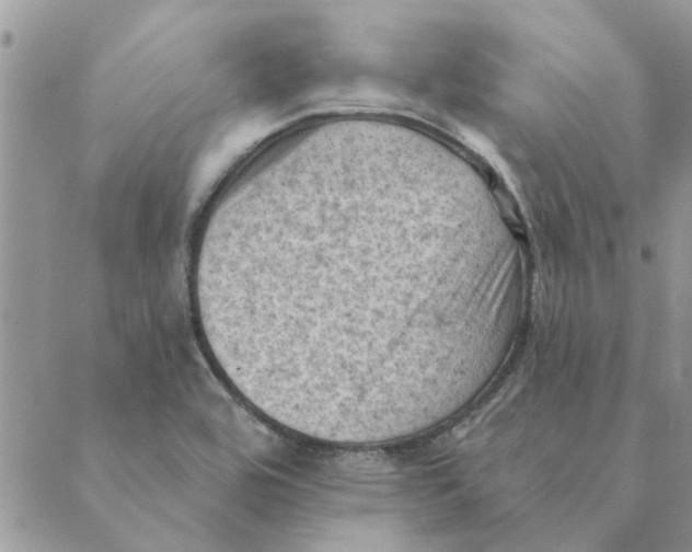 X0000088831464200707051410