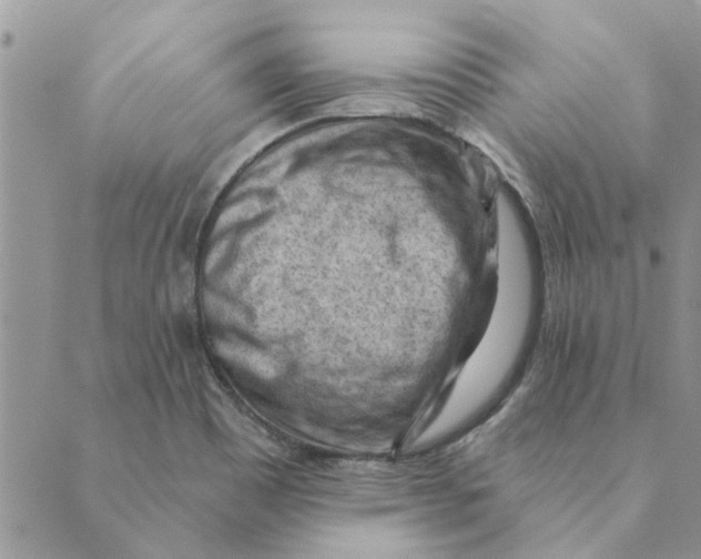 X0000088831465200707051410