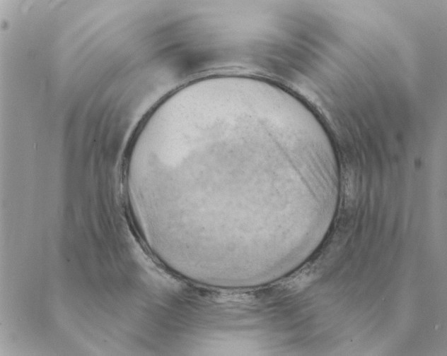 X0000088831466200707051410