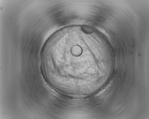 X0000088831467200707051410