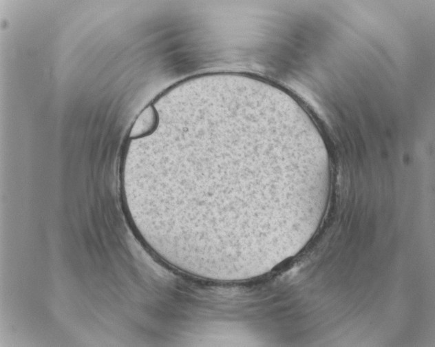 X0000088831468200707051410