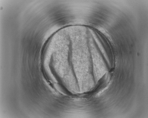 X0000088831469200707051410