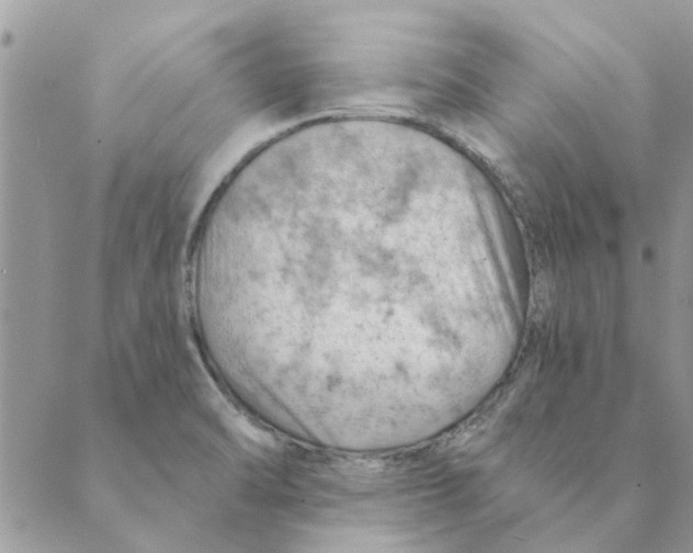 X0000088831470200707051410