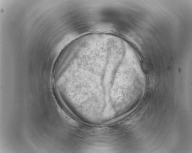 X0000088831471200707051410