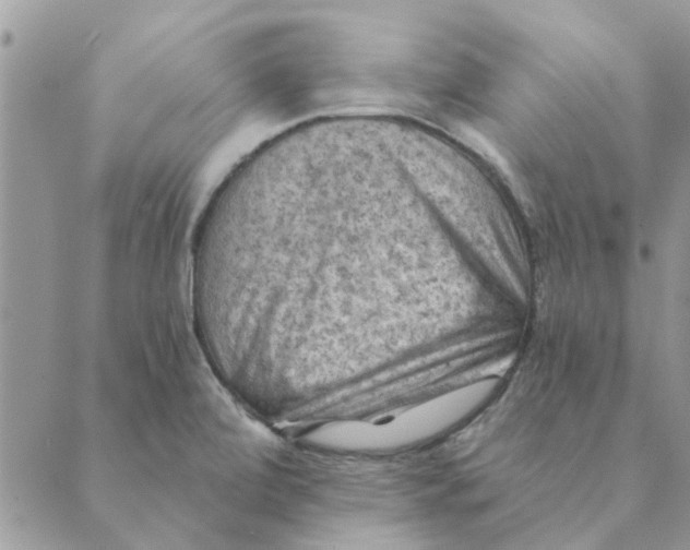 X0000088831472200707051410