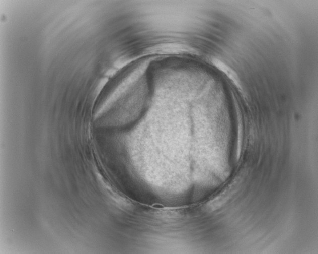 X0000088831473200707051410