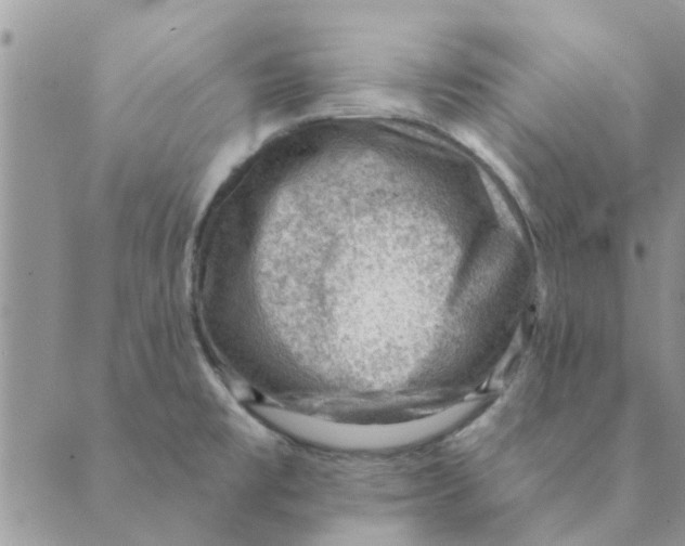 X0000088831477200707051410