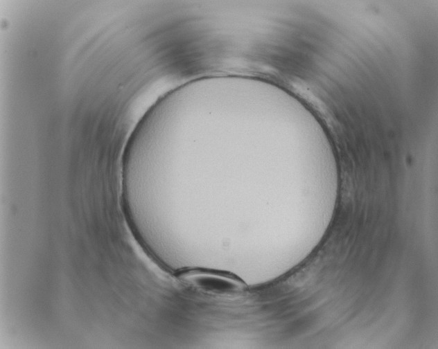 X0000088831479200707051410