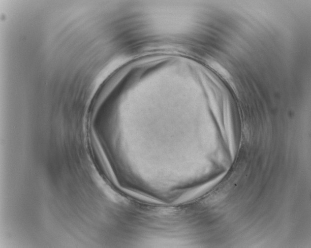 X0000088831482200707051410