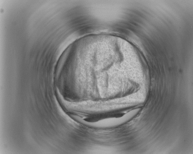 X0000088831483200707051410