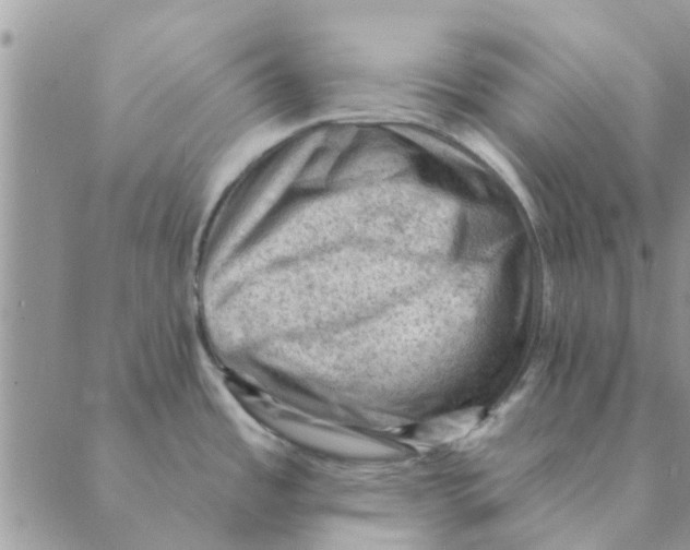 X0000088831485200707051409