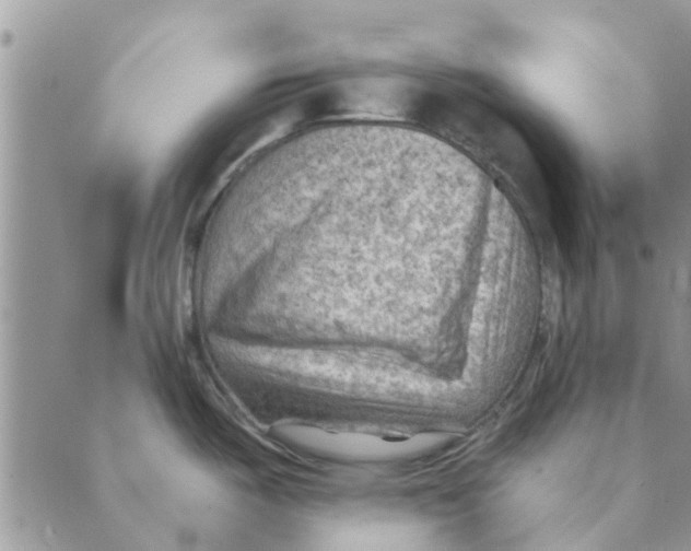 X0000088831487200707051409