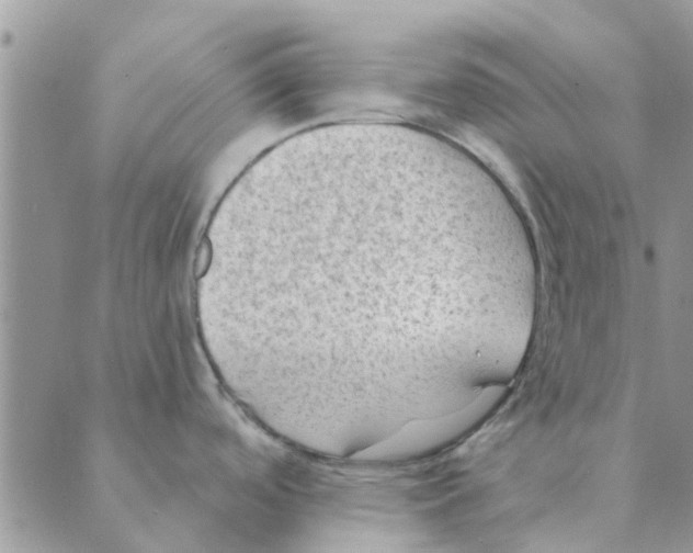 X0000088831488200707051409