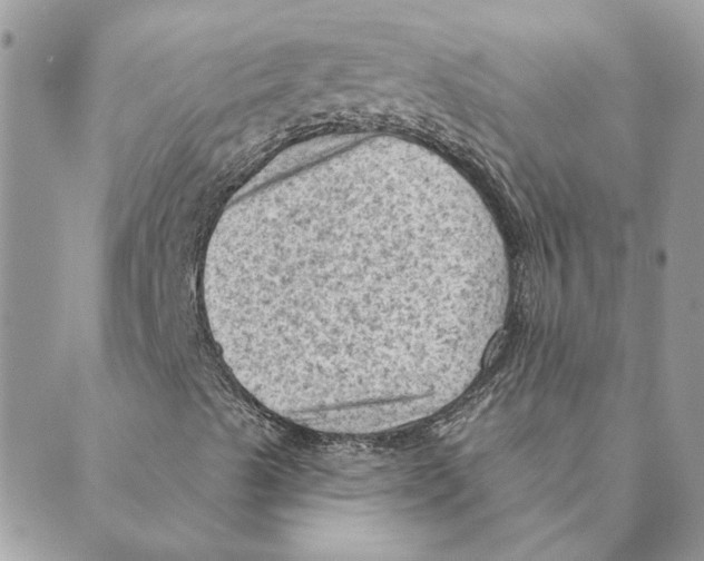 X0000088831489200707051409