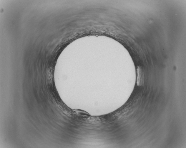 X0000088831491200707051409